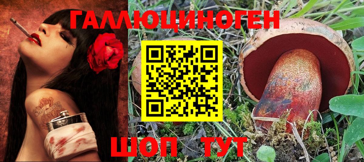Галлюциногенные грибы Magic Shrooms  Вход с VPN  Курск  Галлюциногенные грибы мухоморы 