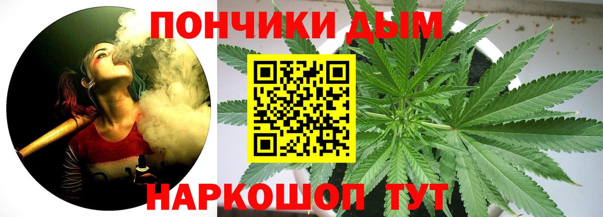 Конопля план Курск